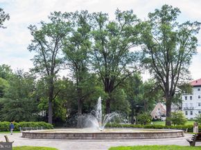 115 Grafton Street, Chevy Chase MD 20815