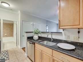 11770 Sunrise Valley Drive 325, Reston VA 20191