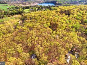 7044 Ely Road, New Hope PA 18938