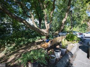 3825 Davis Place NW 103, Washington DC 20007