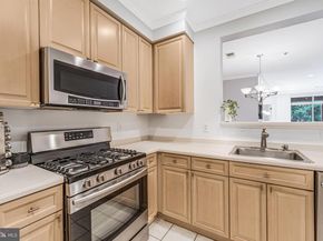 1855 Stratford Park Place 303, Reston VA 20190