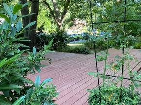 3325 Valley Drive, Alexandria VA 22302