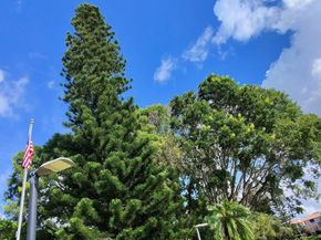 4602 NW 30th Street N 920, Coconut Creek FL 33063