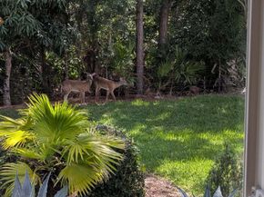 9132 Bay Harbour Circle, West Palm Beach FL 33411