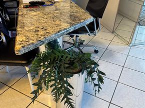 1 Las Olas Cir 307, Fort Lauderdale FL 33316