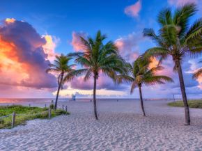 1461 S Ocean Blvd 211, Lauderdale By The Sea FL 33062