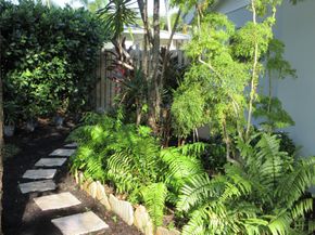 3021 NE 23rd Ave, Lighthouse Point FL 33064