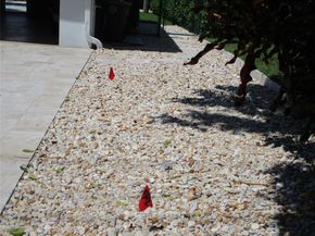 3021 NE 23rd Ave, Lighthouse Point FL 33064