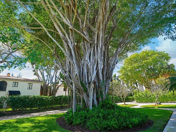 801 Hibiscus Street, Boca Raton FL 33486