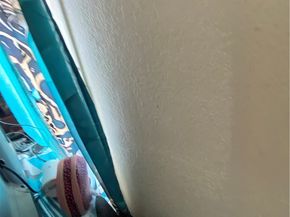 11018 S Figueroa, Los Angeles CA 90061