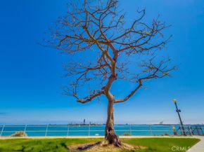 2999 E Ocean Boulevard 120, Long Beach CA 90803