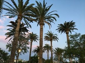 129 Cadence, Irvine CA 92618