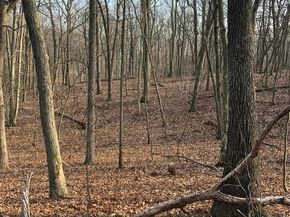 7 Wood Path Drive, Northport NY 11768