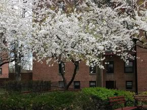 150-11 72 Road 6A, Flushing NY 11367