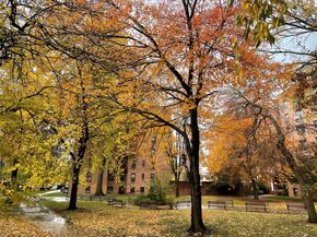 150-11 72 Road 6A, Flushing NY 11367