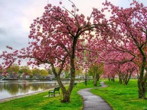 604 Tompkins 10C, Mamaroneck NY 10543