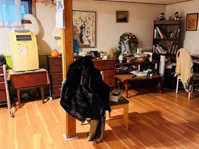 272 Jefferson Avenue, Franklin Square NY 11010