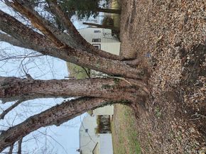 33 Parkway Boulevard, Wyandanch NY 11798