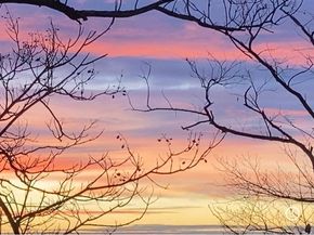 5500 Fieldston Road 3DD, Bronx NY 10471