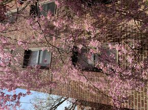 150-29 72 Garden 3L, Kew Garden Hills NY 11367