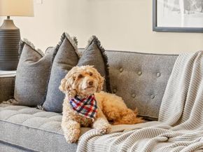 1699 Valencia Street 304, San Francisco CA 94110