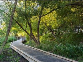 7636  Cherry Blossom Lane , Little Elm Texas 76227