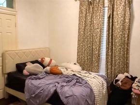 1226  Donegal Lane , Garland Texas 75044