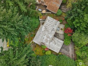 12226 SE 25th Street, Bellevue WA 98005