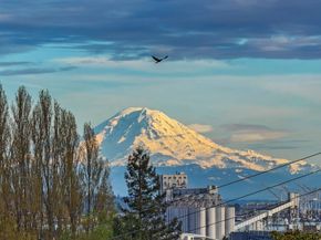 2822 23rd Avenue W, Seattle WA 98199