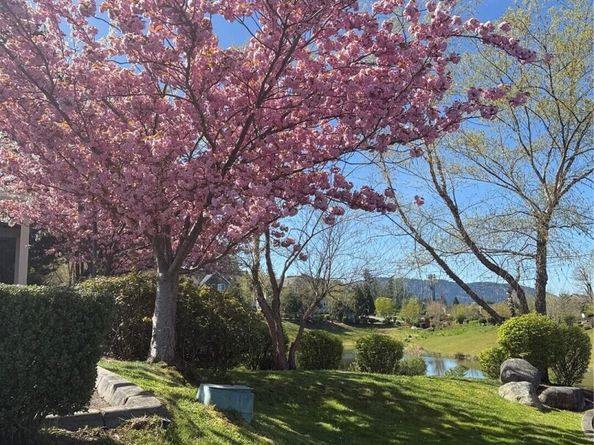 1981 24th Avenue NE 104, Issaquah WA 98029