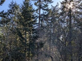 3435 SE Auburn Way S 48, Auburn WA 98092