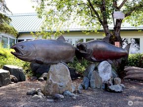 250 NW Dogwood Street C201, Issaquah WA 98027