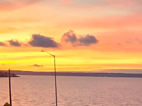 2200 Alki Avenue SW 203, Seattle WA 98116