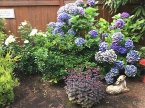 3228 227th Street SW, Brier WA 98036