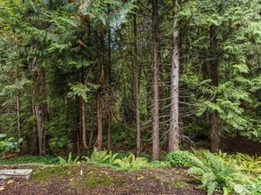3921 108th Avenue NE A101, Bellevue WA 98004