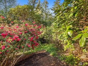 6560 NE Maxwell Lane, Bainbridge Island WA 98110
