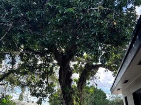 3040 NW 96th St, Miami FL 33147