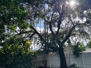 3040 NW 96th St, Miami FL 33147