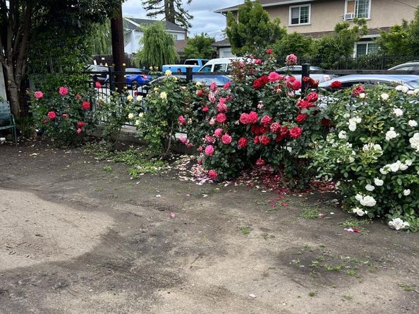 322 1st Avenue, Redwood City CA 94063