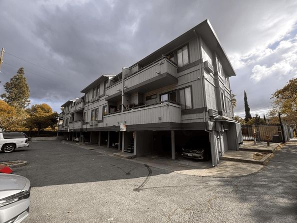 Riley, Concord CA 94520
