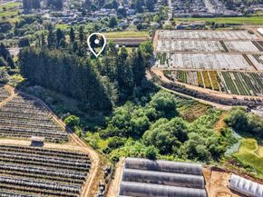 107 Paulsen Road D, Watsonville CA 95076