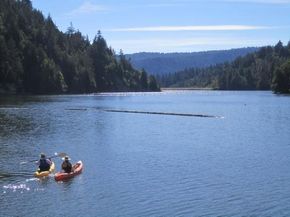 11207 Lake Boulevard, Felton CA 95018