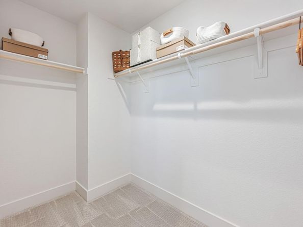 3209 Ivory Terrace, San Ramon CA 94583