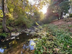 20510 Brookwood Lane, Saratoga CA 95070