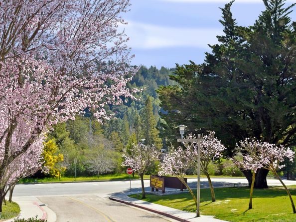 111 Bean Creek Road 39, Scotts Valley CA 95066