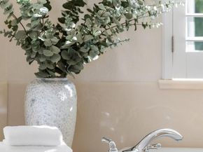 2231 Quail Bluff Court, San Jose CA 95121