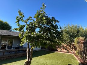 120 El Toro Court, Morgan Hill CA 95037