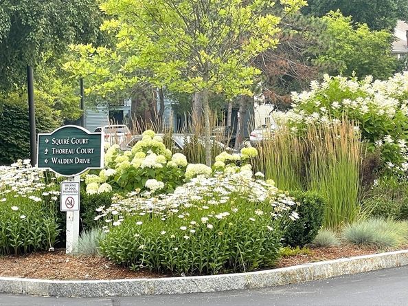 13 Walden Dr 5, Natick MA 01760