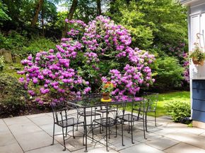81 Intervale Road, Newton MA 02459