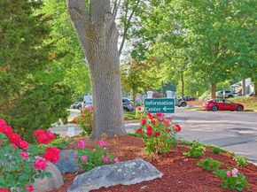 9 Silver Hill Lane 19, Natick MA 01760